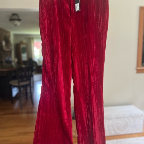 Velvet pants - Steve Madden - Picture 8 of 8